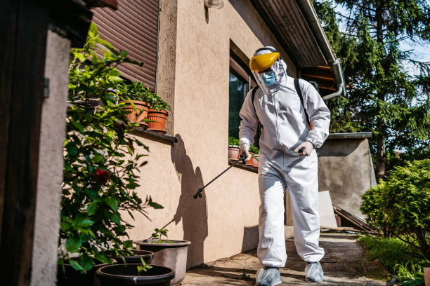 Best Pest Removal Services  in Scott Af, IL