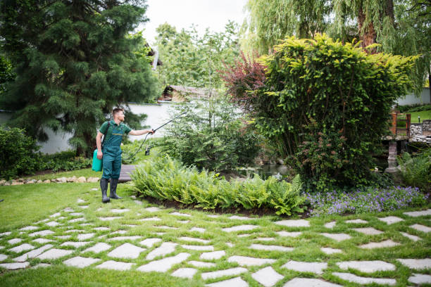 Best Affordable Pest Control Services  in Scott Af, IL