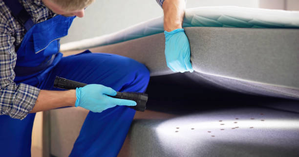 Best Pest Control Near Me in Scott Af, IL