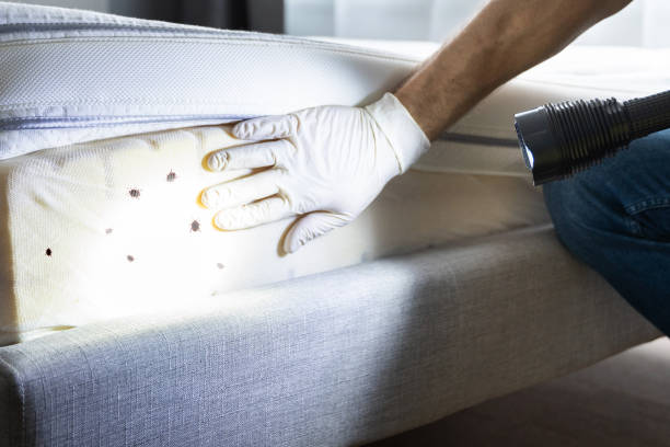 Best Pest Control Treatment  in Scott Af, IL