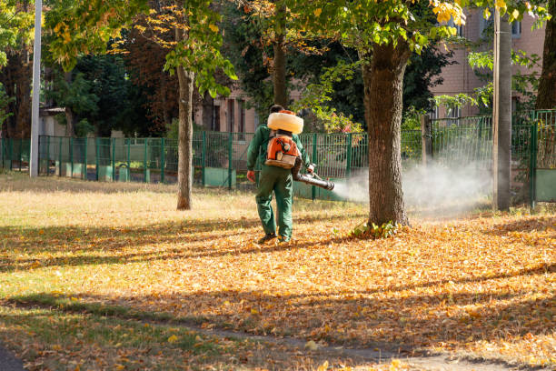 Best Pest Prevention Services  in Scott Af, IL