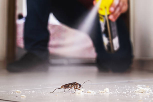 Best Residential Pest Control  in Scott Af, IL