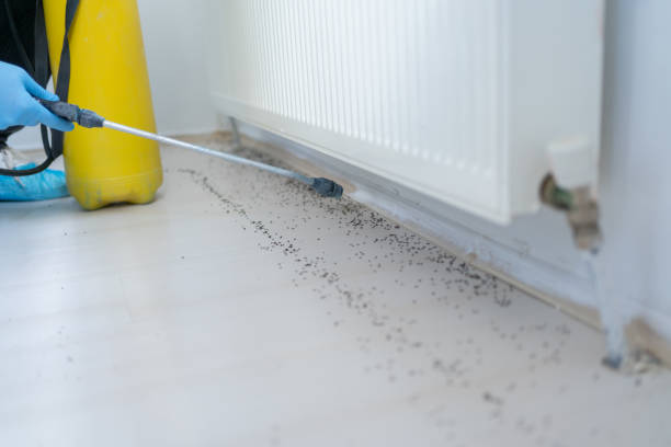Best Residential Pest Control  in Scott Af, IL