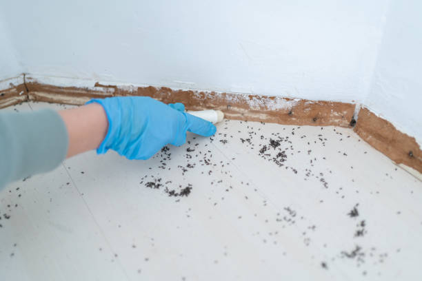 Best Best Pest Control Companies  in Scott Af, IL