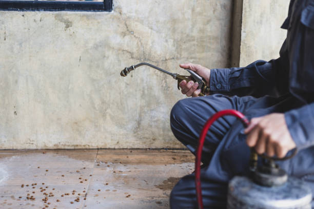 Best Residential Pest Control  in Scott Af, IL