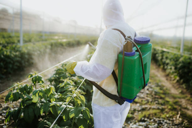 Best Affordable Pest Control Services  in Scott Af, IL